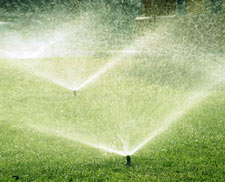 Irrigation Services